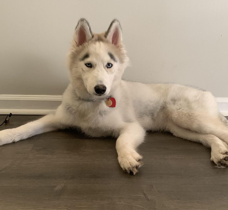 18dc725b5cb44cd54aa0014def