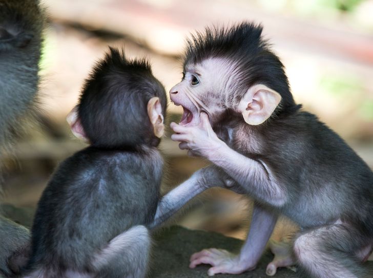 18dfd25bdcad606774aaf139d5