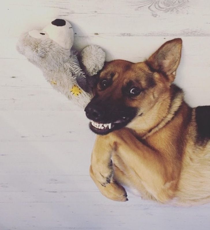 18e8d550629d57e5927a012672