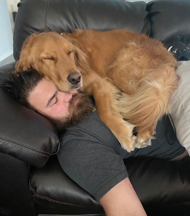 18ee2a537bbc3003d49b246f71