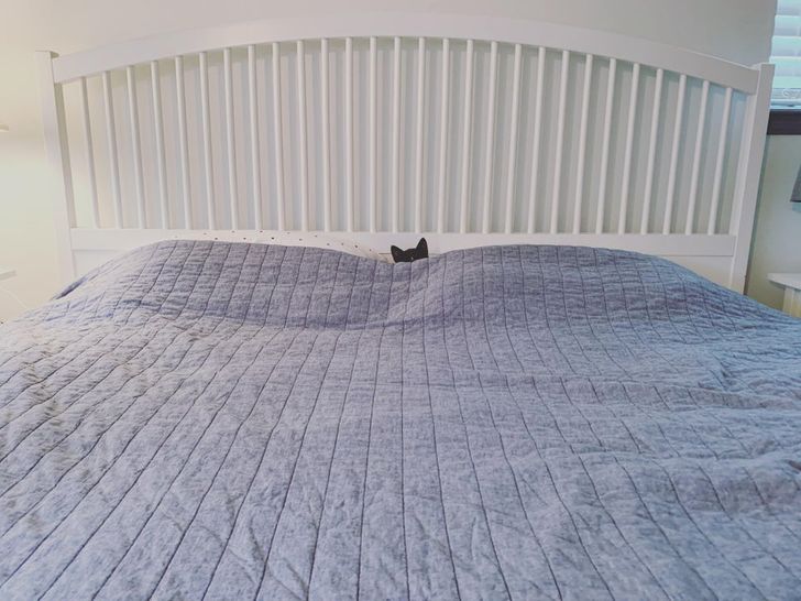 18f4e756b89295632e8e3a92ac 18f4e756b89295632e8e3a92ac