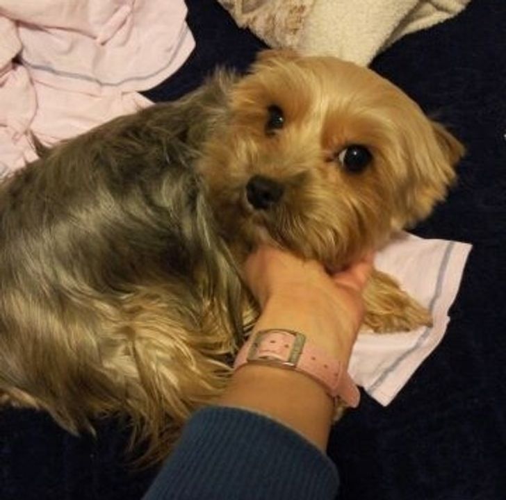 18fc9a567cbff2015d18b376a9