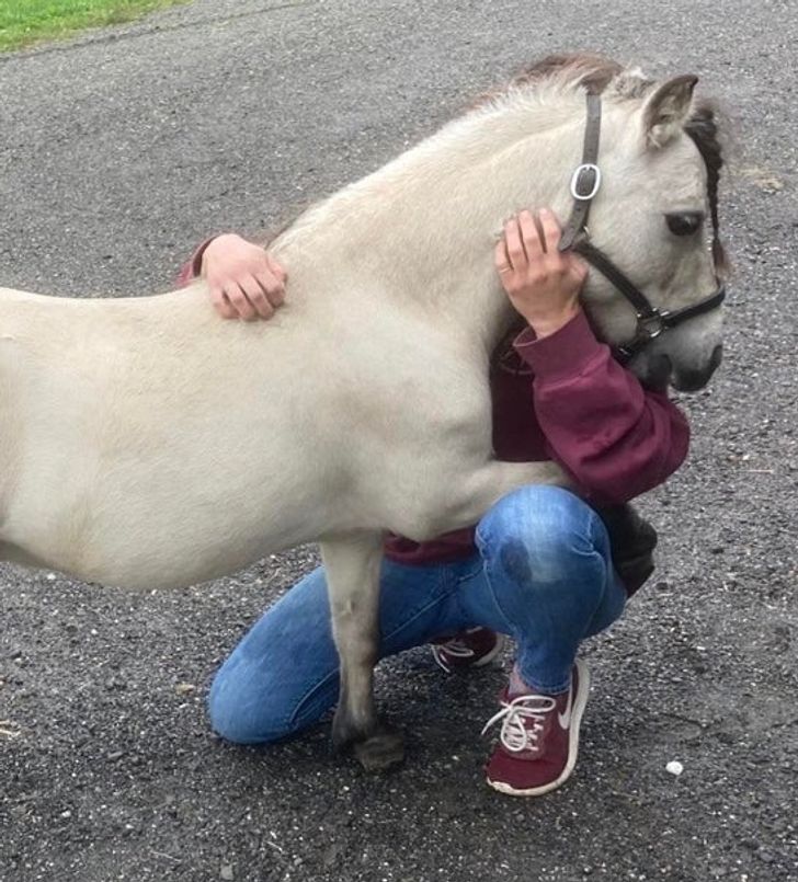 1900ea5bc487ad29968074416b