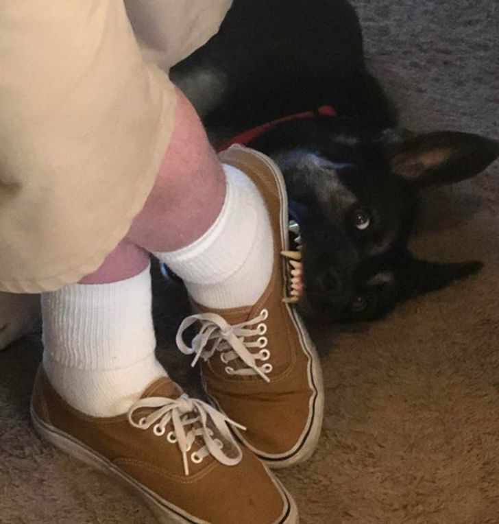 19067a50e48606e6ae3219a78c