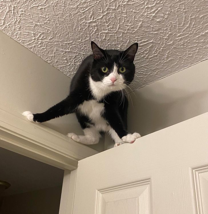 1907c450dcb8f0cd30b64a7700