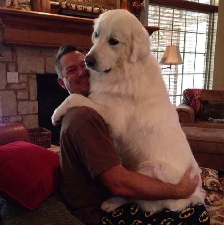 19089850f884564657f21bffe0