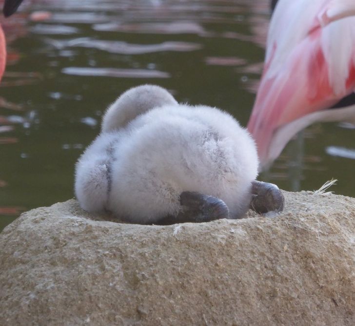 19184e511d9fefe1061956c338