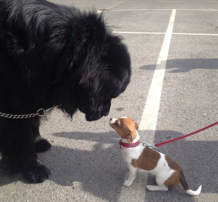 191a1559b4977625bbb57b4c0f