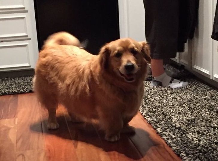 191ad95217b8a00ec74b7d41d5