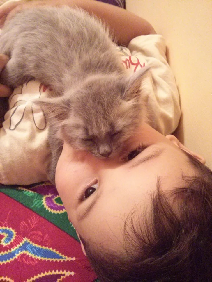 192cd65dfd94793dae6b129329