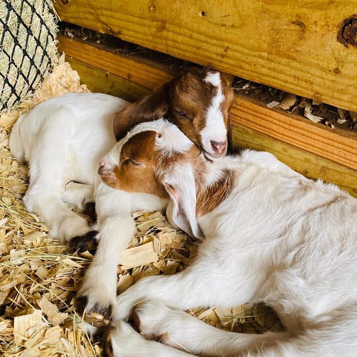 192d1552c8bc792ce1ae98ecf6