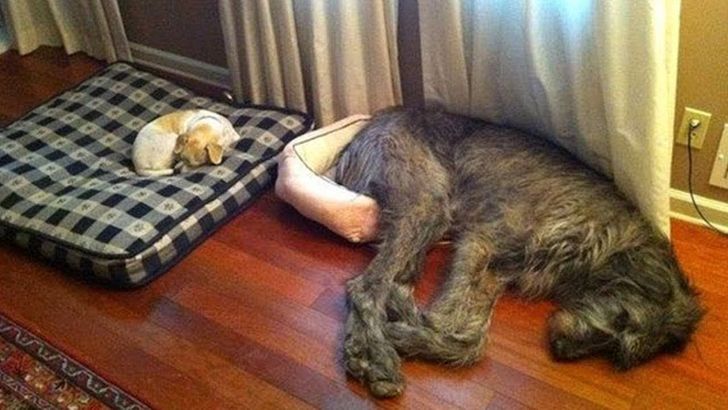 1933075ed0aae885324c2c858d