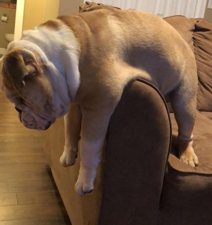 1938a3520d80ece50395a0f018