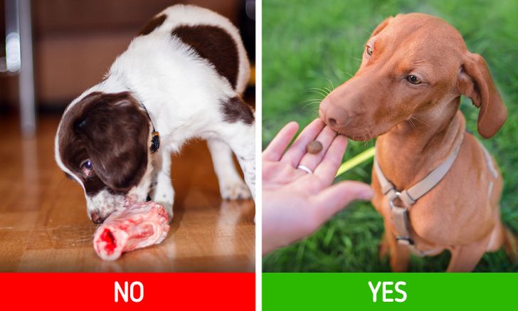 193a4d5db69f905606b15d8f48