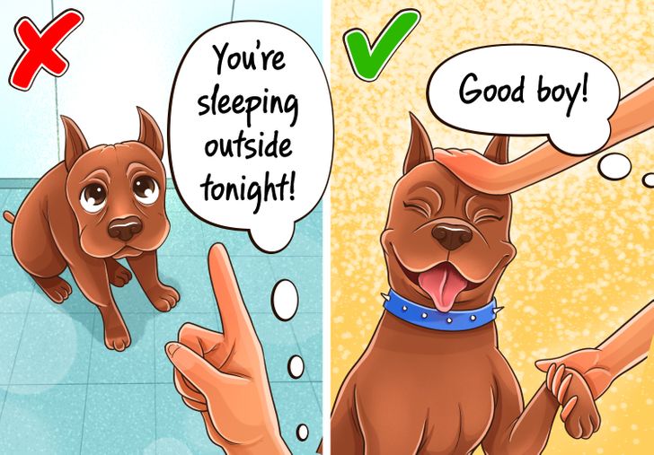 193b8b52438afe88c320d1cdf0