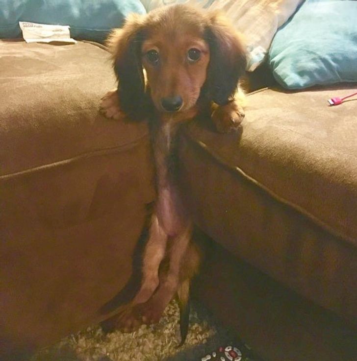 193c6257cb8b447c1eeaf56e41