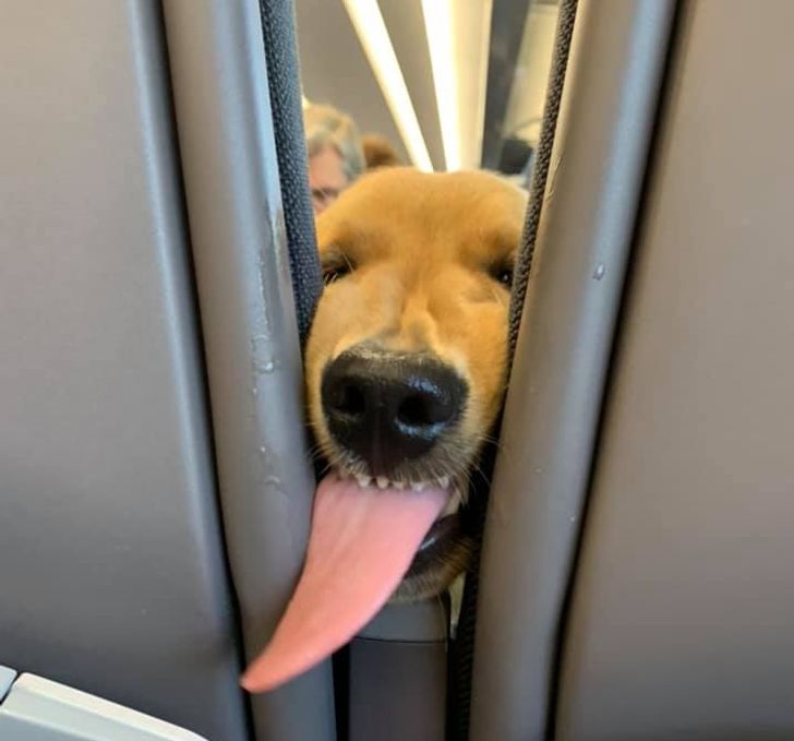 193e19539d87d5adb531d149b2