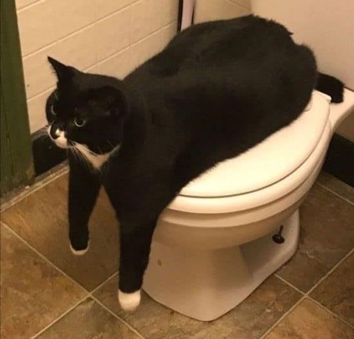 1948375f94a4e9ebc83de950bb