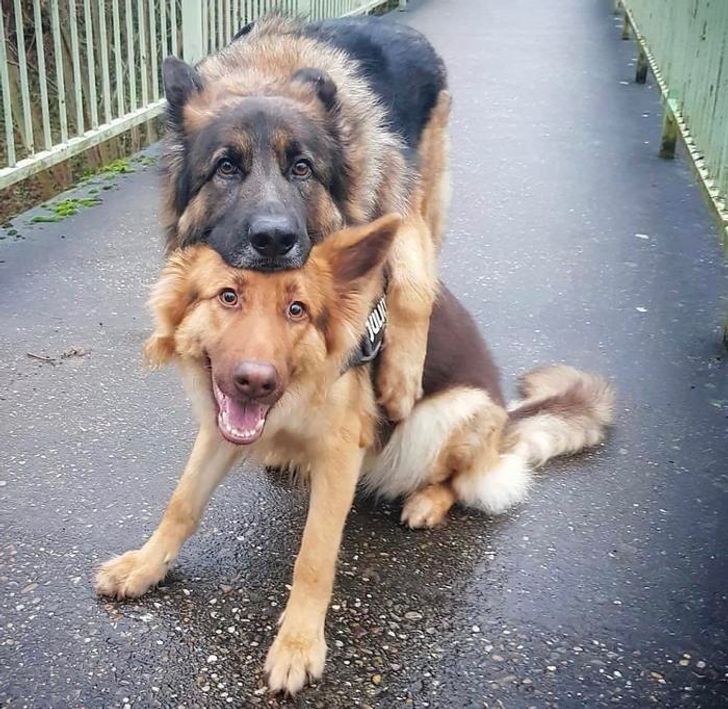 194fd6504fbf155c72480961c7