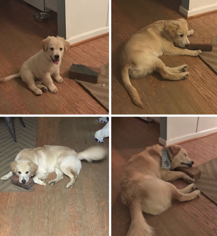 19500b570b9fa8c7e686221c9e