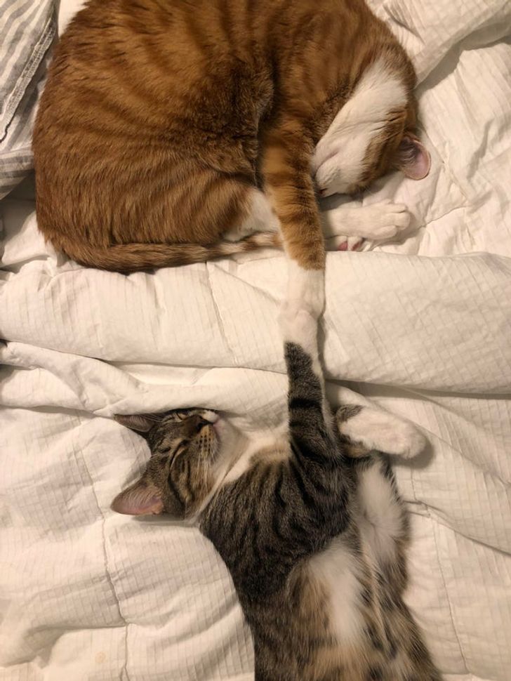 1957c25e29bfb1b4df4209ae56