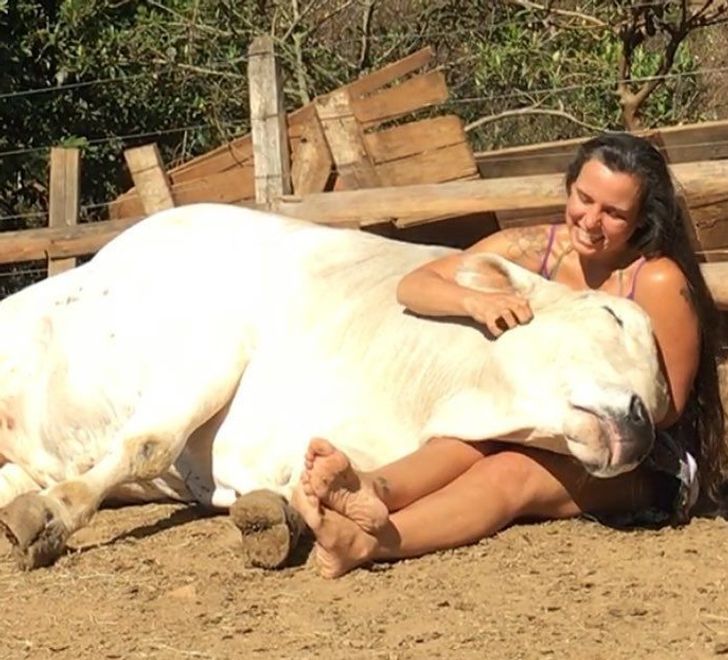 1959e95e42ab1ae362899de552