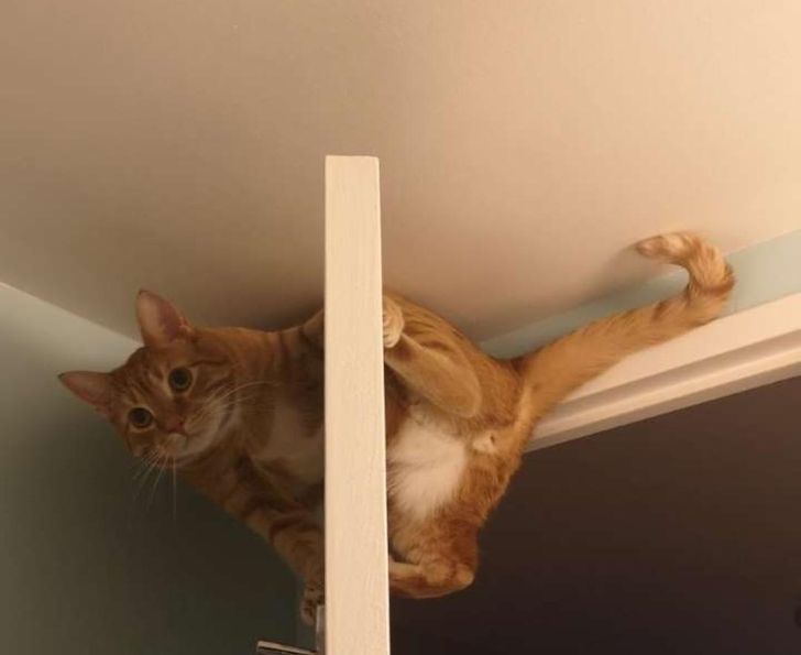 195f5e58b18626db27ed773ed1