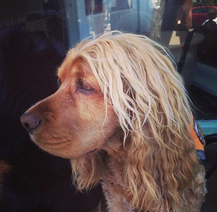 19600052289bb2a4cd14794fd1