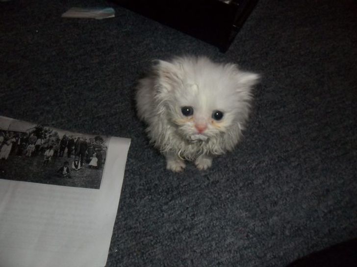 1964205b1a8dd631a78a08996a