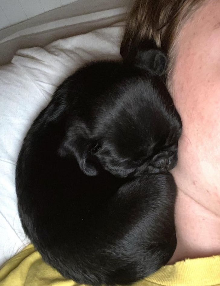 196a5f592aa7549f22df1474bb