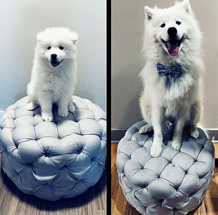 196a7b5afd8a7e80fae3781160