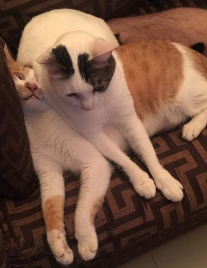 196e8b5b9babb0ba7c04a085df