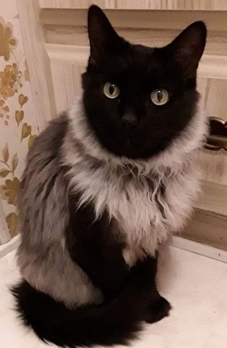 196f0e5201909c2d00ea5f4b83