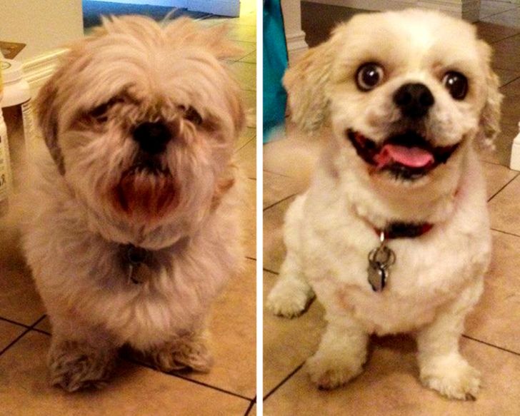 1972e15921b4e391b04280df62