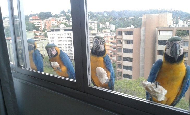 19767a56b28071e4ebd0239d07