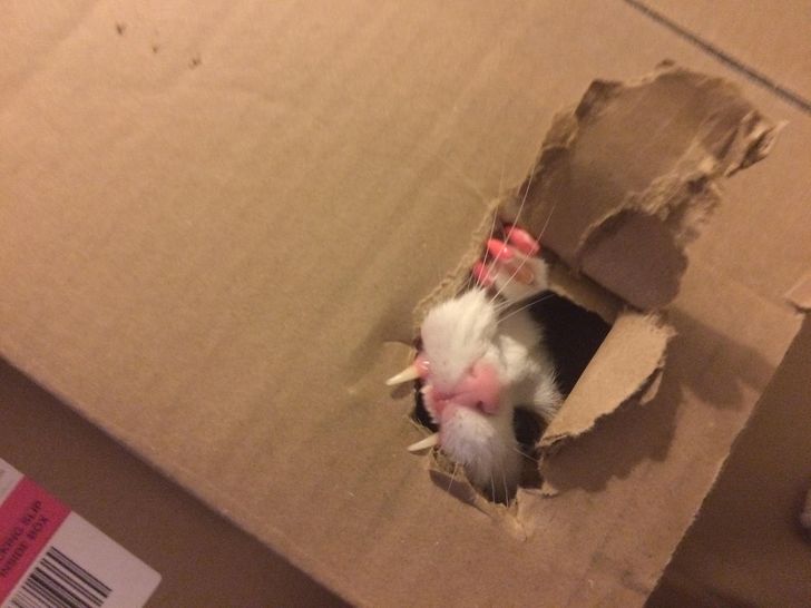 197cfb52cc841b56f8ef421e5e