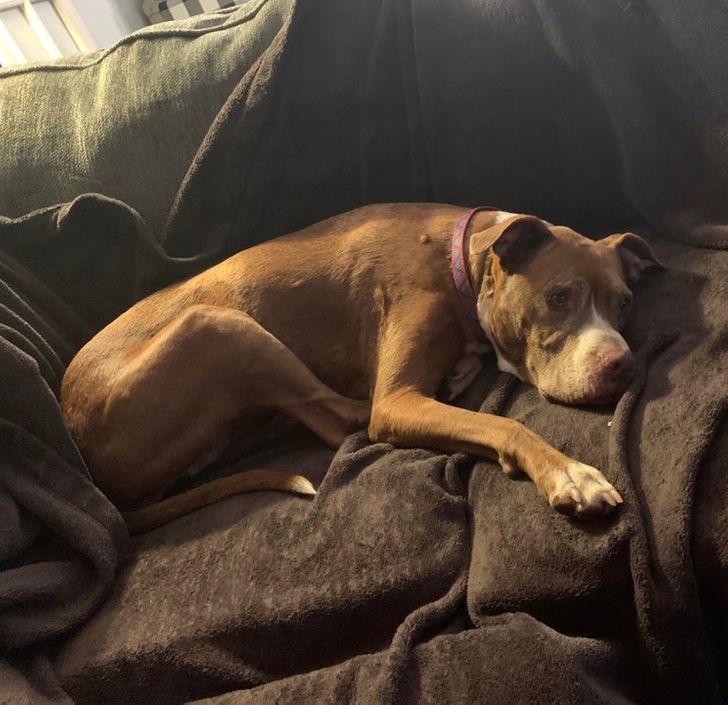 1983fb5407b5c60343f0427b9e