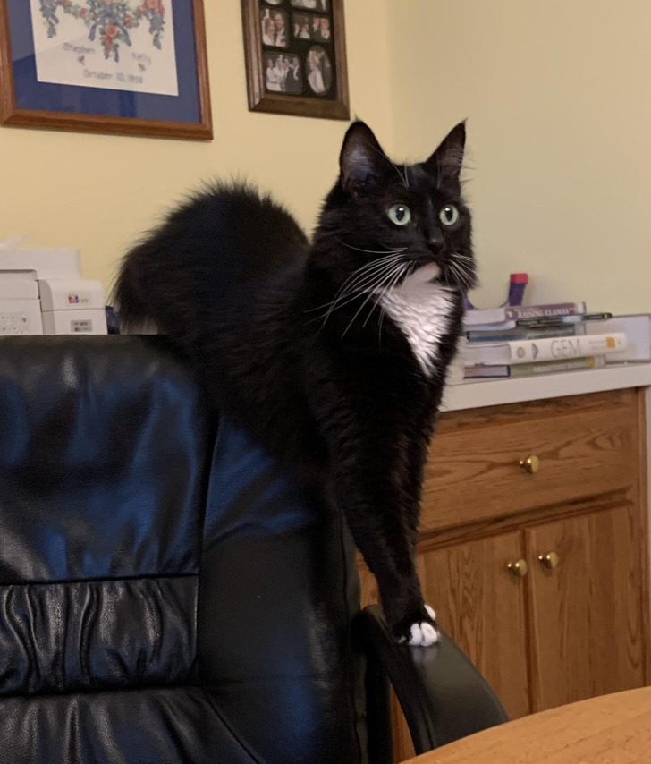 1985e9561db0a3c63e19f2a3ee