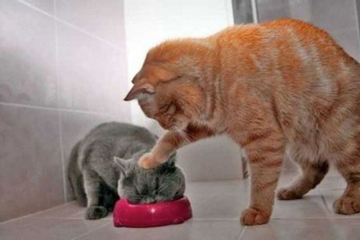 19876e5af881f8749ee4675a83