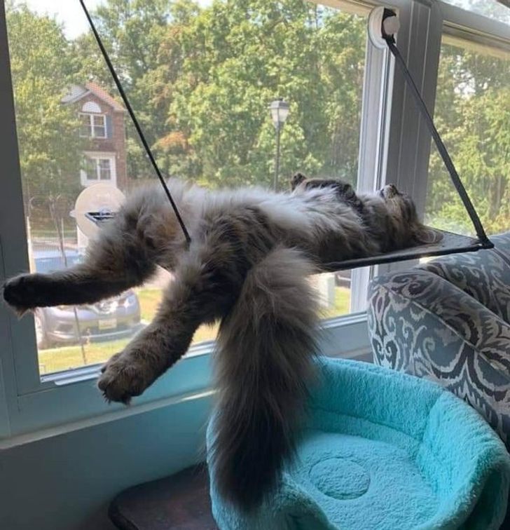 1987b056419e126986b2ea995a