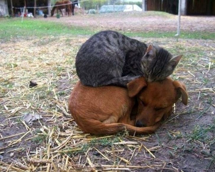 198c3c57d38aa5d912e16bc5db