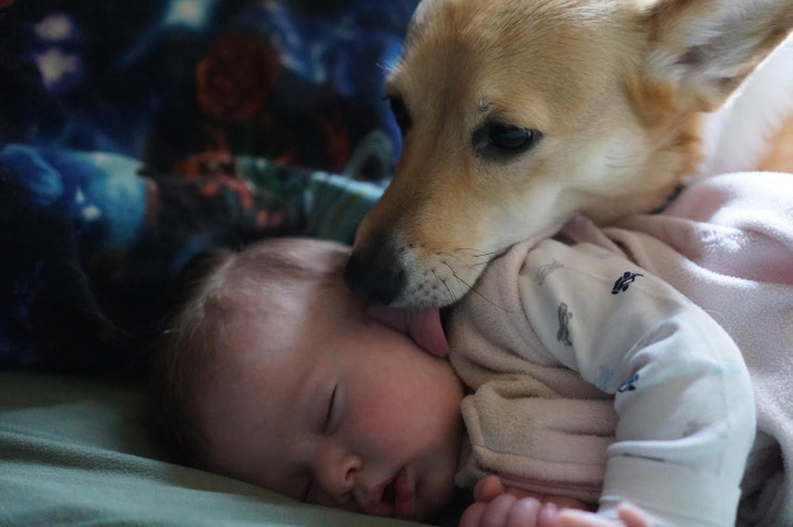 198def597cb8bddda1e63ec2af