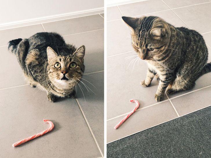 198f23579ea67382ef96e75377