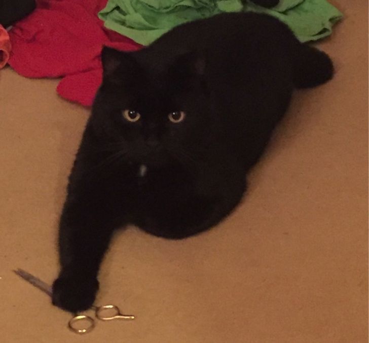 1991a2566084d2cbbd04e87942