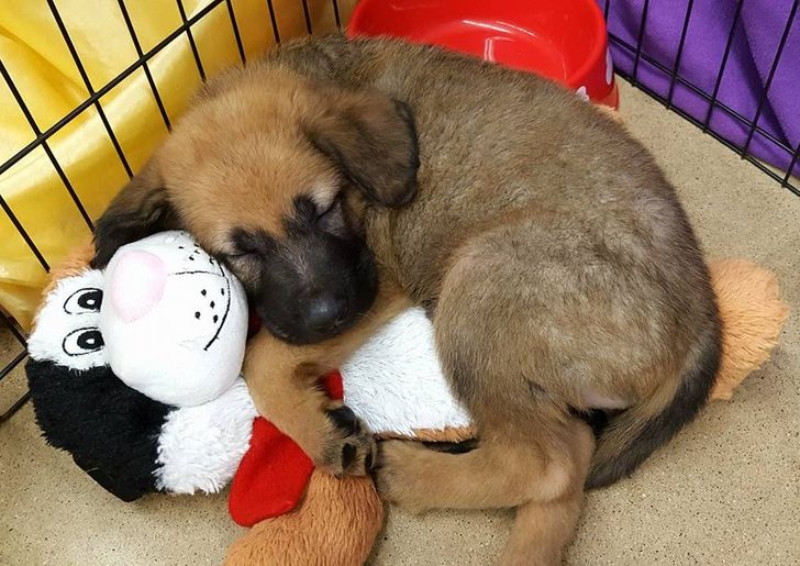 19922950988097b2899ea74160