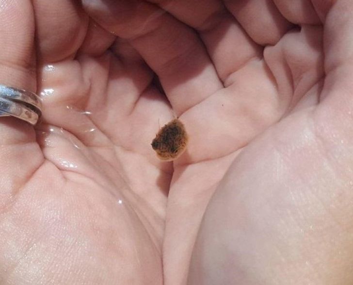 199a005f7a94eb2805cb122f0e