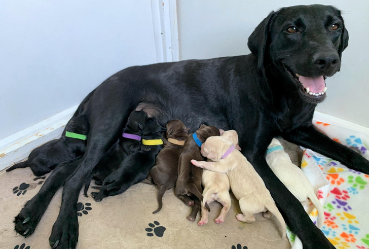 199f3f5218b06103304822e91f