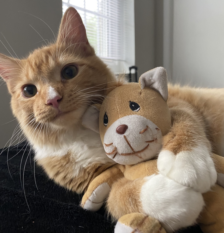 19a2305724af25dfcb07e878a2