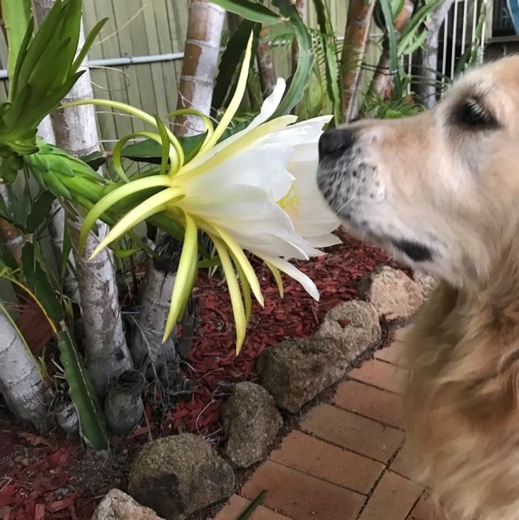 19b20f537389599cad8bba3244 19b20f537389599cad8bba3244