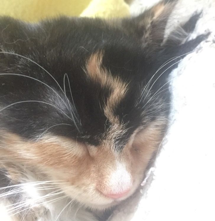 19b93859f49dc0d76c7e63fdb5